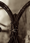 Wall_Art_Alphabet_Photography_Art_ 2542